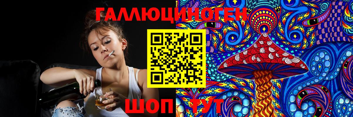Ишим  Псилоцибиновые грибы Psilocybine cubensis  Вход с VPN 