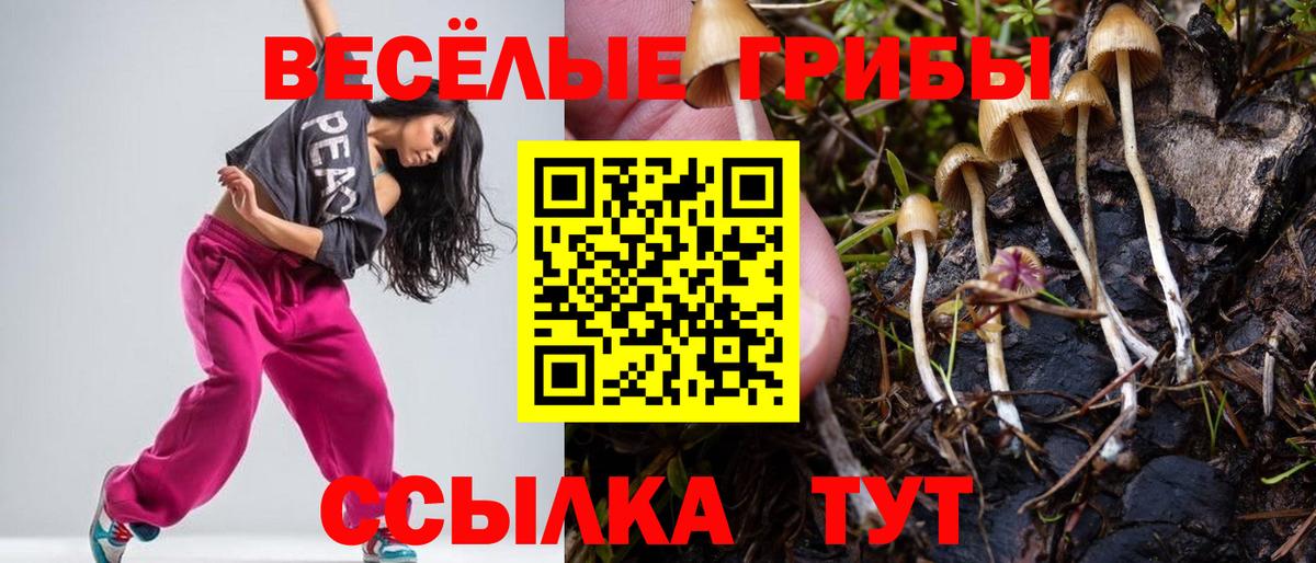 Псилоцибиновые грибы GOLDEN TEACHER Ишим